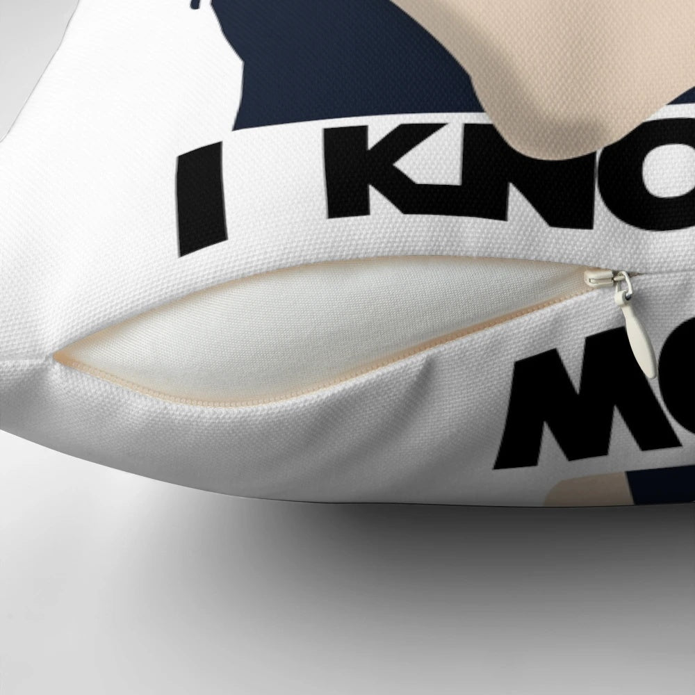 A soft, plush pillow featuring a design inspired by the iconic "I love you" and "I know" exchange between Princess Leia and Han Solo from the Star Wars films.