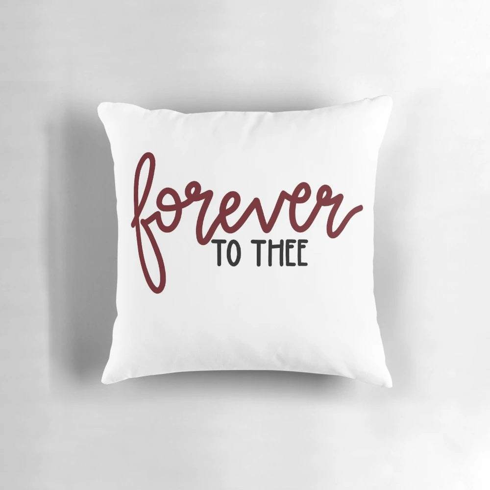 Gamecock football themed pillow with garnet and black colors