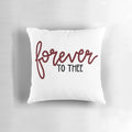 Gamecock football themed pillow with garnet and black colors