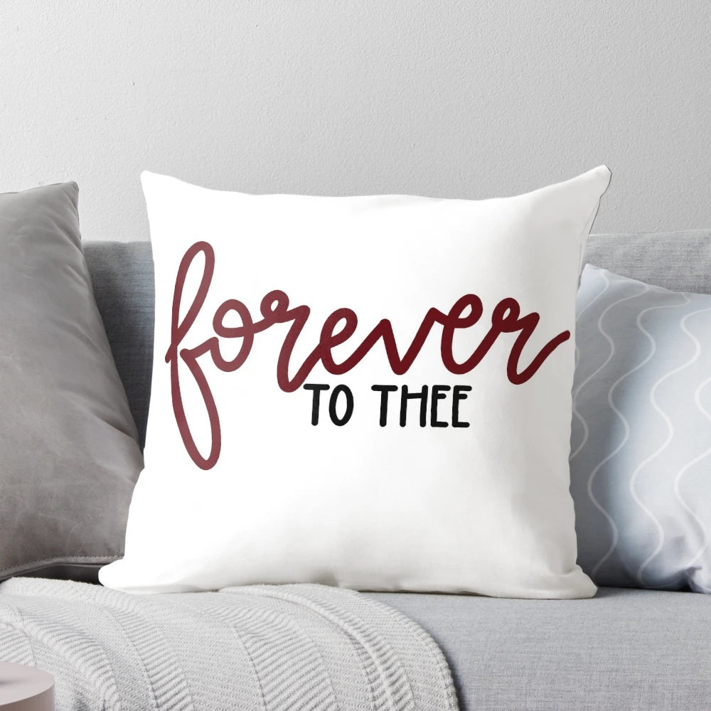 Gamecock football themed pillow with garnet and black colors