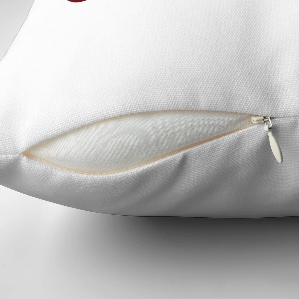 Gamecock football themed pillow with garnet and black colors