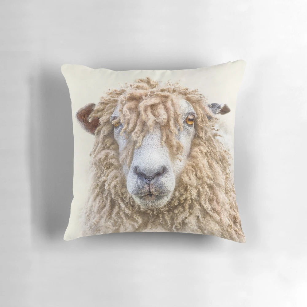Close-up portrait of a Leicester Longwool sheep, a unique and rare breed, featured on a soft, high-quality pillow.