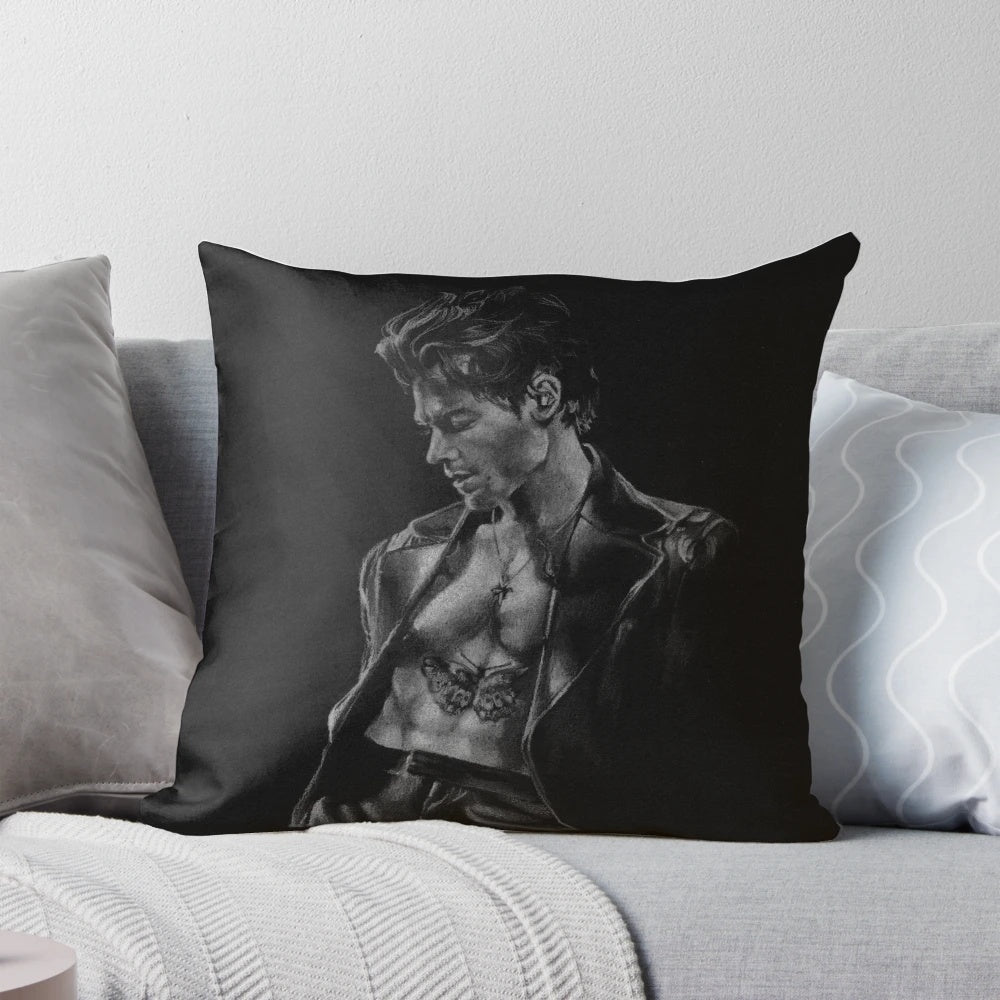 Harry Watermelon Sugar HS Pillow, a stylish and comfortable accent for any room