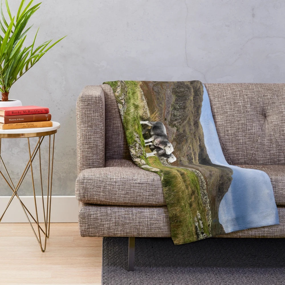 Herdwick sheep inspired plush blanket featuring a scenic Lake District landscape
