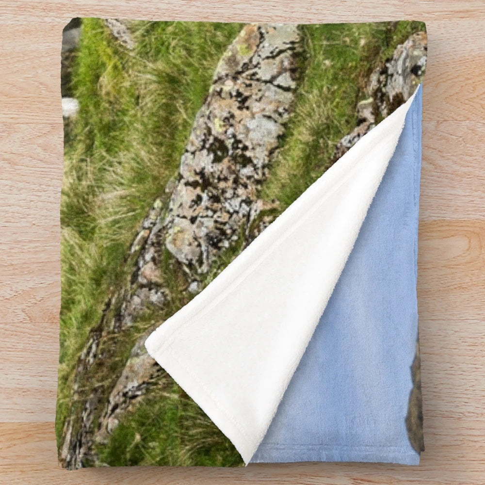 Herdwick sheep inspired plush blanket featuring a scenic Lake District landscape