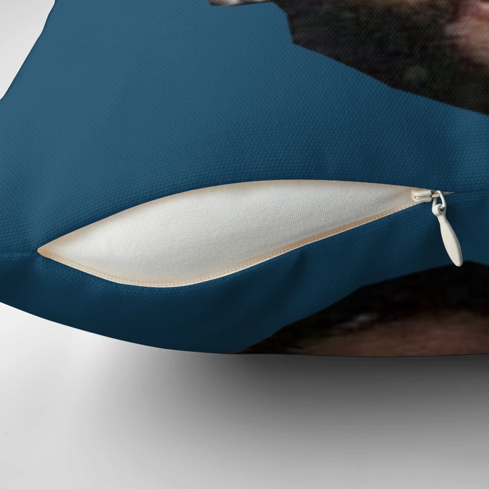 Katt Williams Meme Pillow featuring the comedian's famous shocked expression