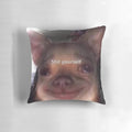 Funny "Shit Yourself" dog meme printed on a plush, decorative pillow