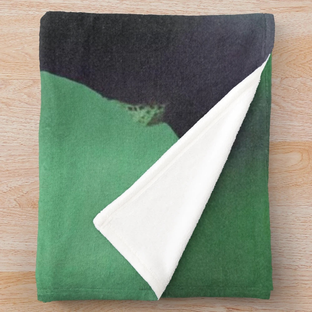 Iann Dior inspired plush blanket featuring the cover art for the song "Let You