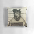 Vintage Alf mugshot pillow, featuring the iconic alien character from the classic 80s/90s TV sitcom.