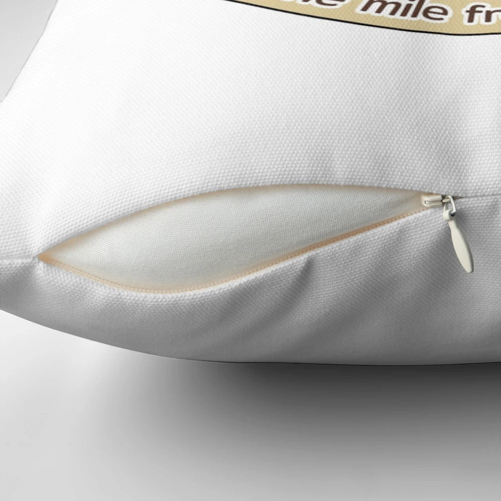 Fenway Park, the historic baseball stadium and home of the Boston Red Sox, featured on a soft, high-quality pillow.