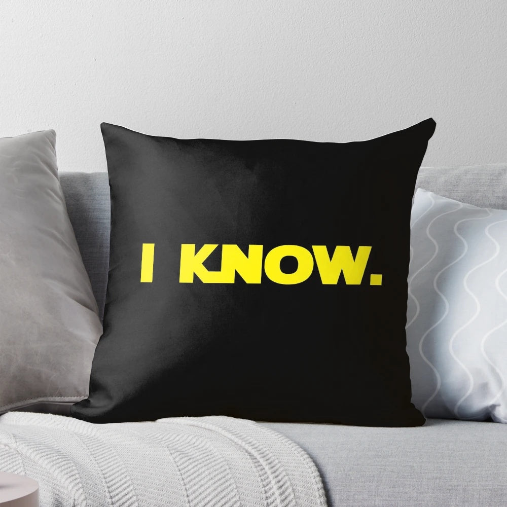 "I love you. I know." Star Wars quote pillow featuring Han and Leia