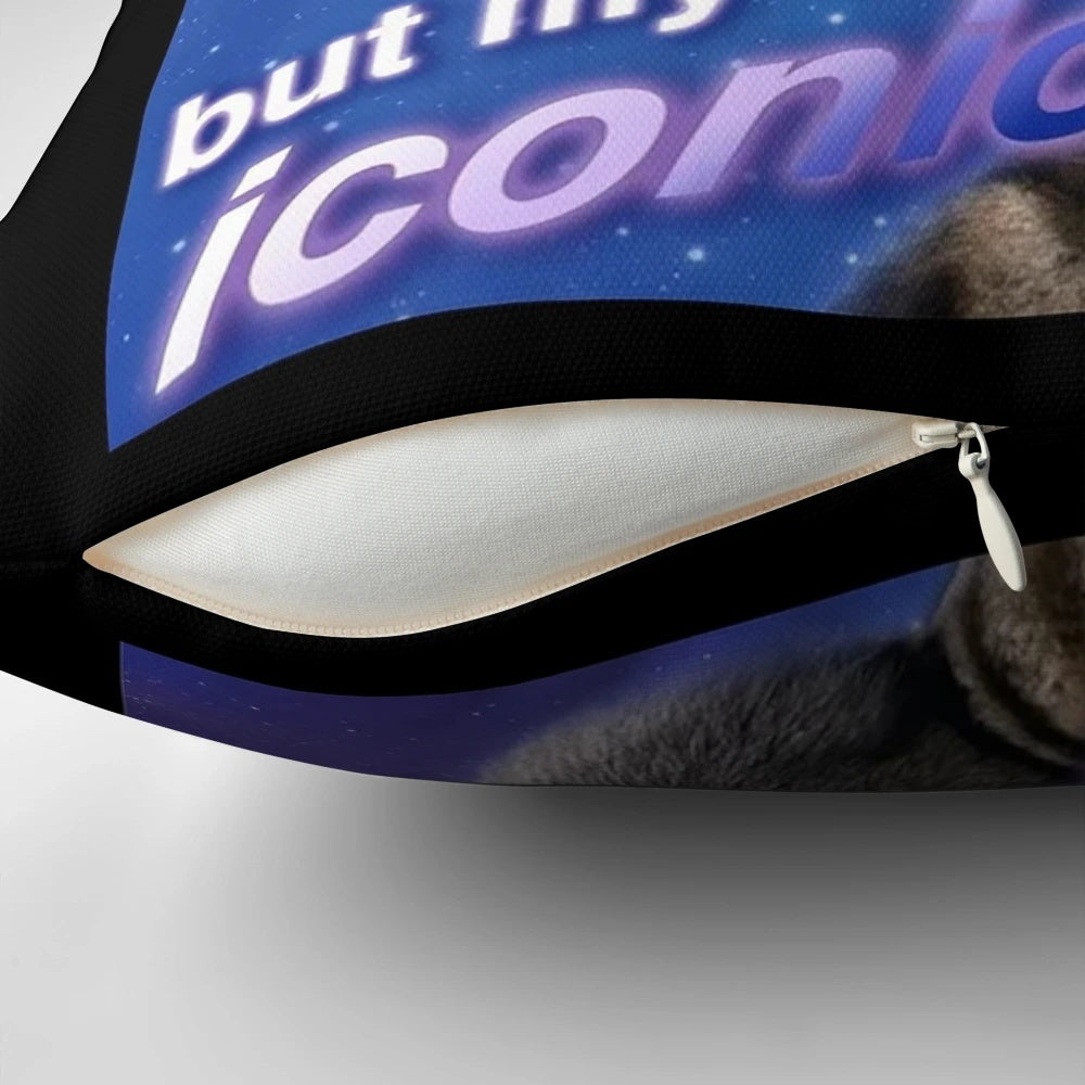 Soft, cozy pillow featuring the iconic "My Pain is Chronic But My Ass is Iconic" raccoon meme design.