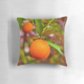 Cozy orange throw pillow featuring juicy, ripe oranges