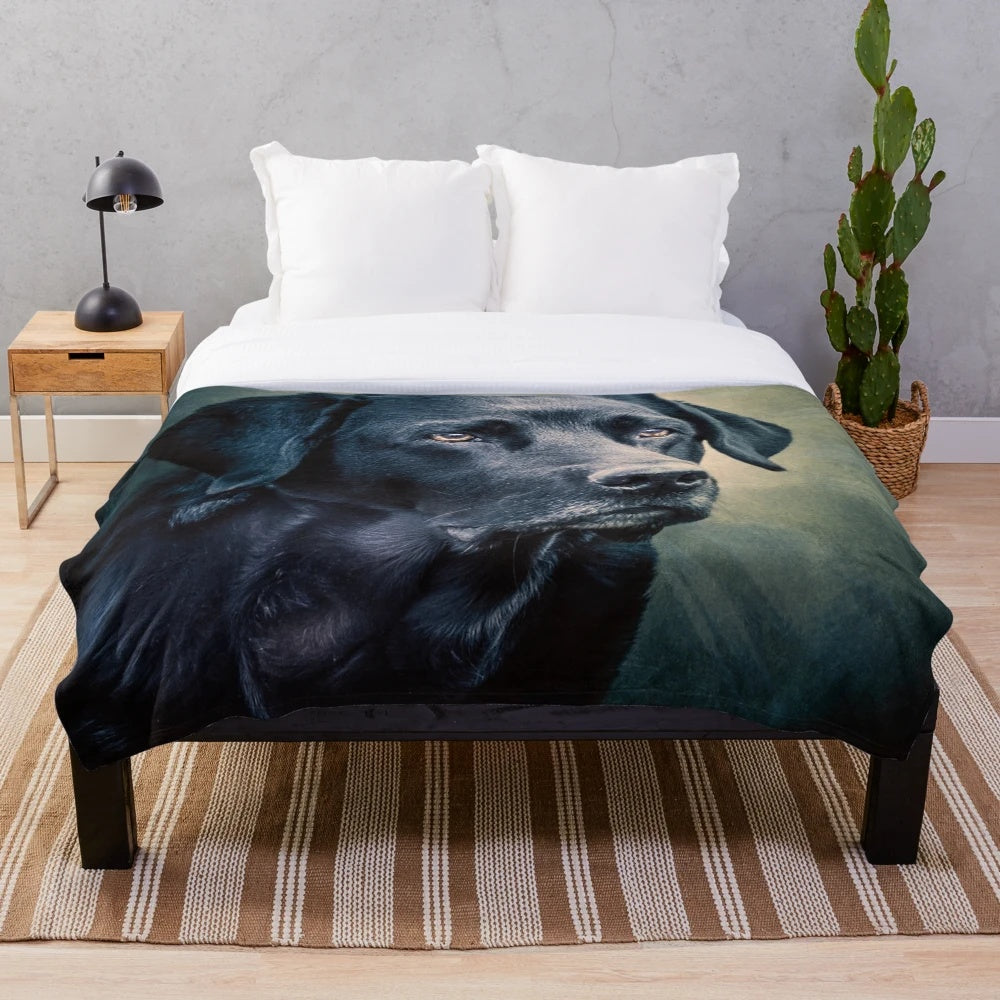 Black velvet plush blanket featuring a Labrador retriever