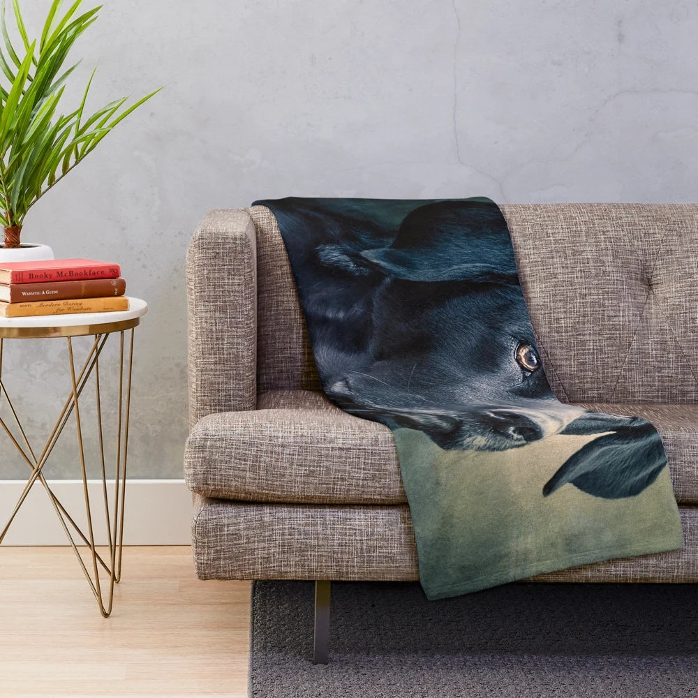 Black velvet plush blanket featuring a Labrador retriever