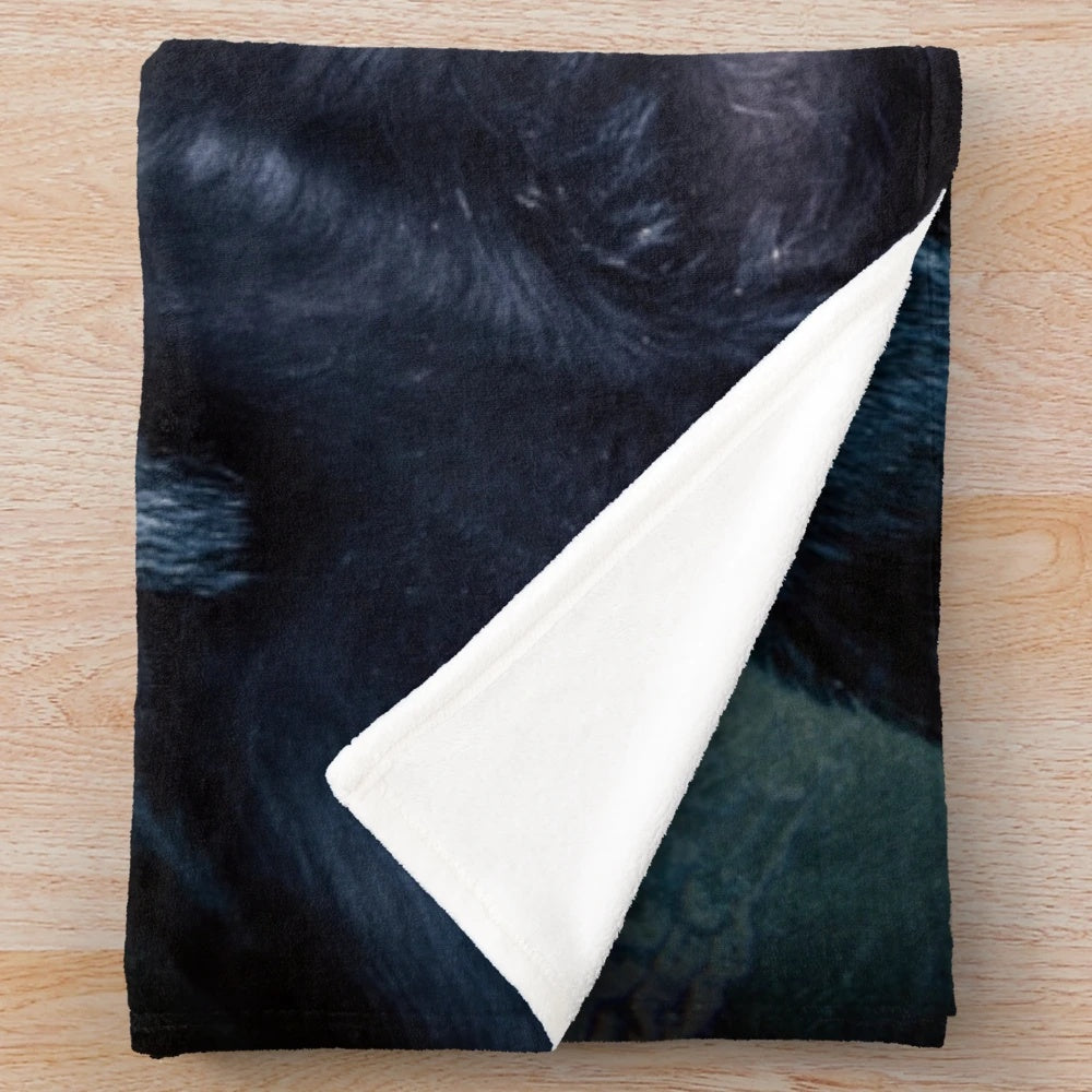 Black velvet plush blanket featuring a Labrador retriever