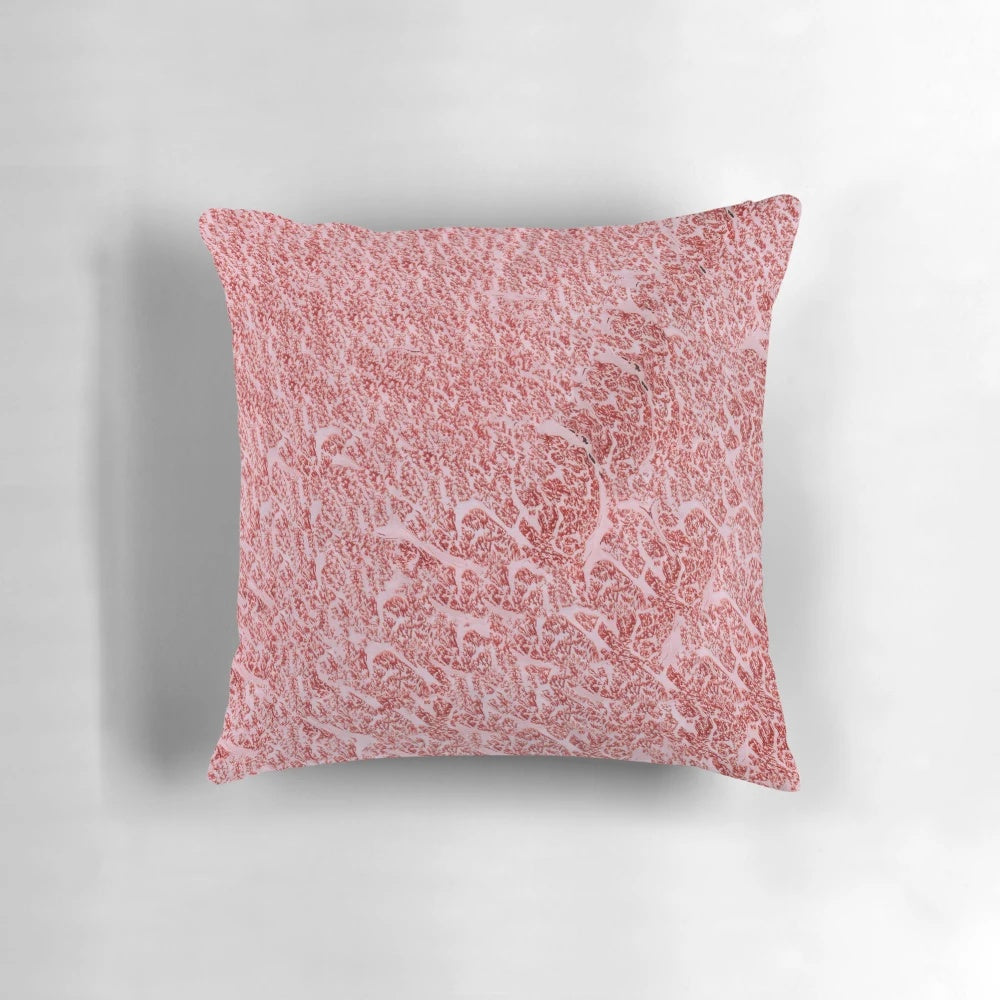 A Wagyu A5 Kobe beef ribeye steak texture pillow, a unique and high-quality home decor item.