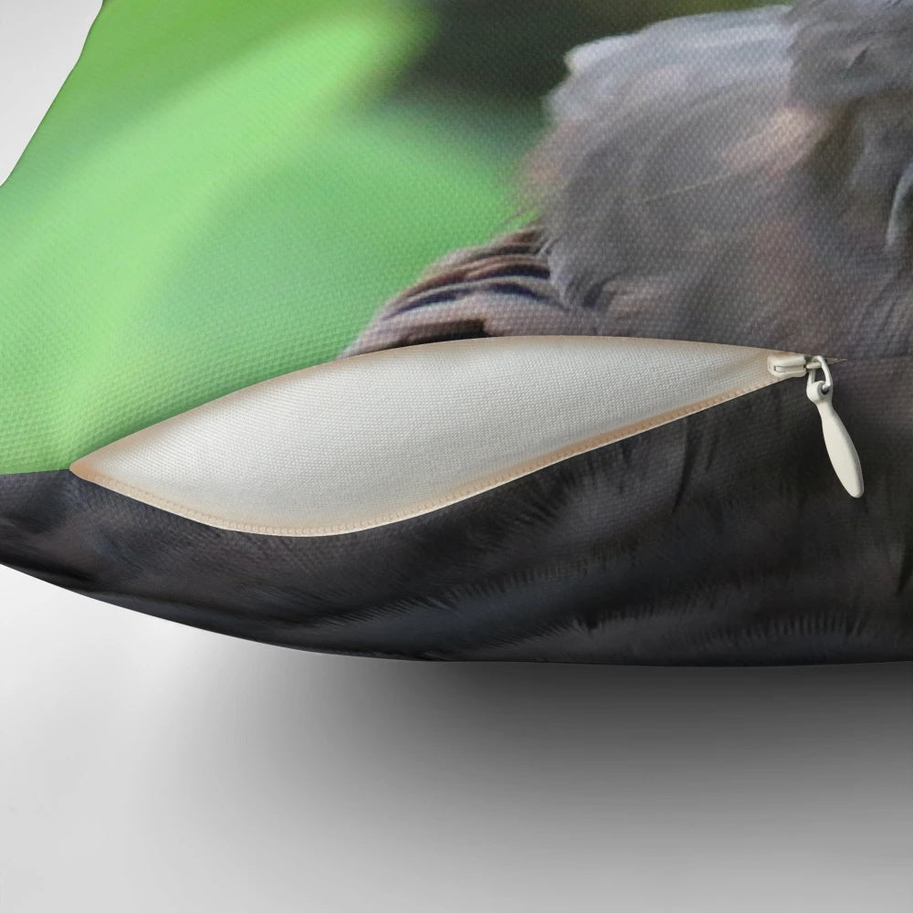 Black vulture decorative pillow featuring a realistic illustration of the majestic bird