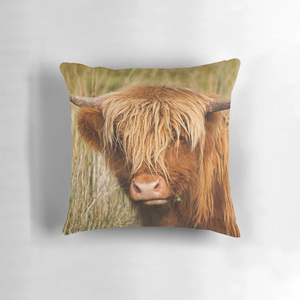 Soft, cozy pillow featuring a detailed portrait of a ginger highland cow in the lush, rolling hills of Cumbria, UK.