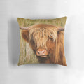 Soft, cozy pillow featuring a detailed portrait of a ginger highland cow in the lush, rolling hills of Cumbria, UK.