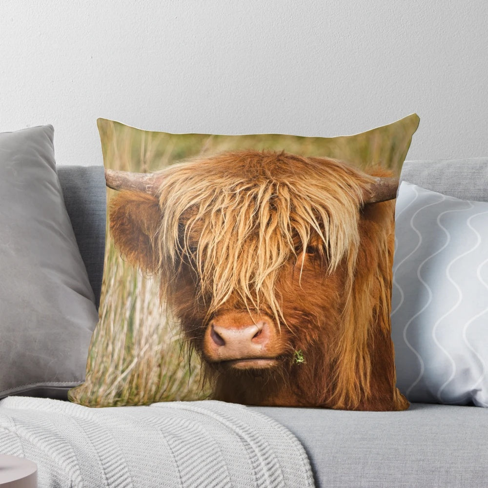 Soft, cozy pillow featuring a detailed portrait of a ginger highland cow in the lush, rolling hills of Cumbria, UK.