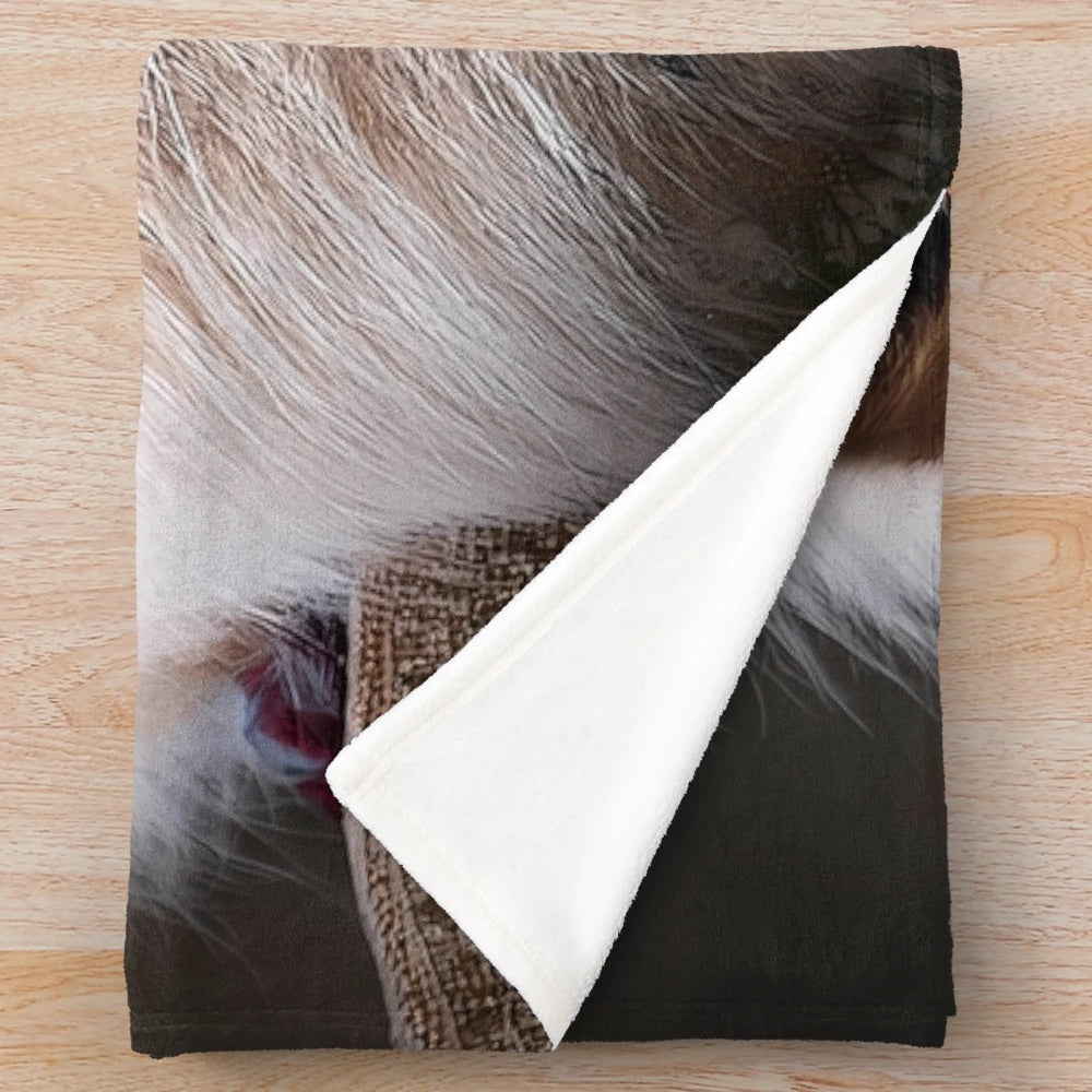 King Lionheart plush blanket featuring a majestic lion design