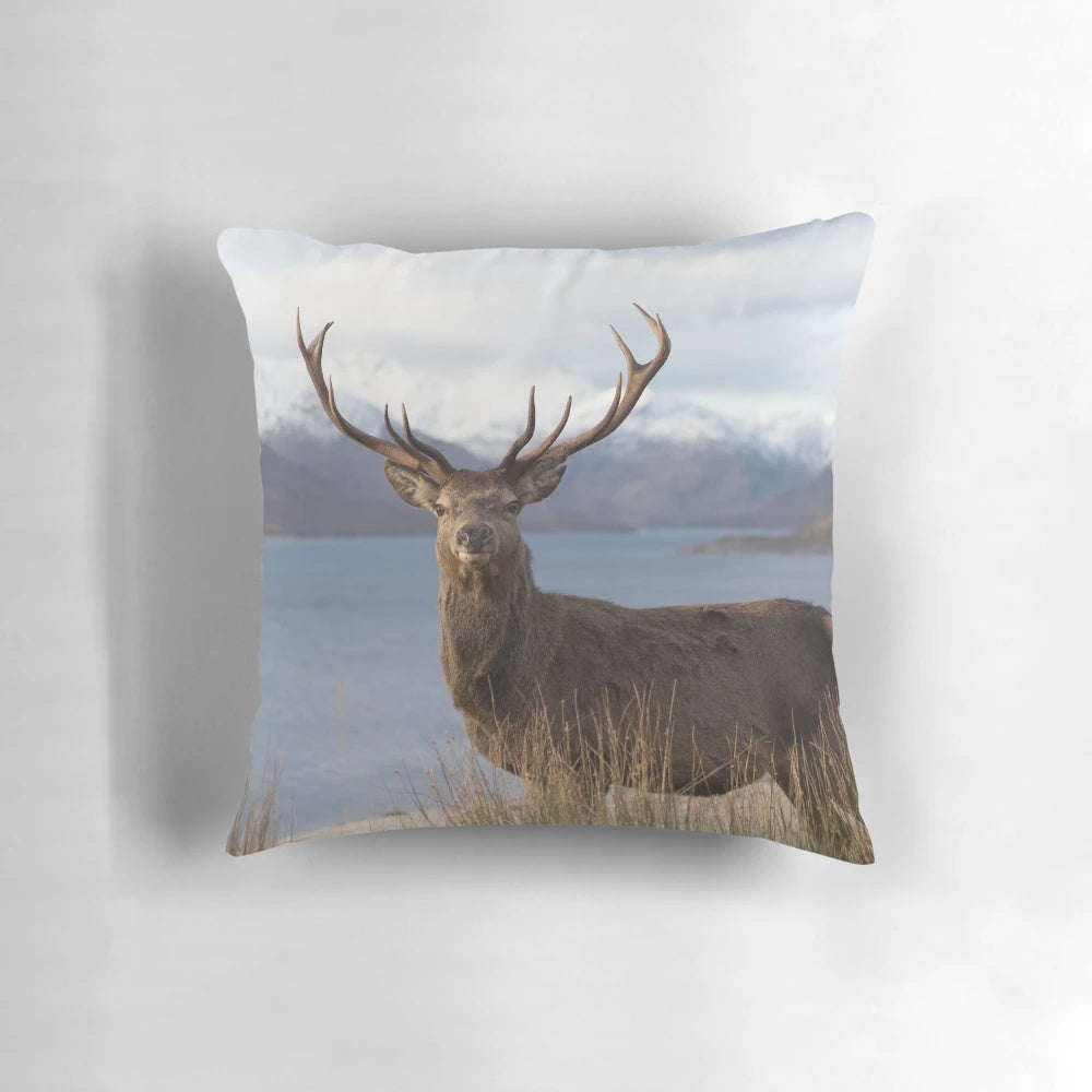 A magnificent red deer stag standing in a snow-covered landscape of the Scottish Highlands.