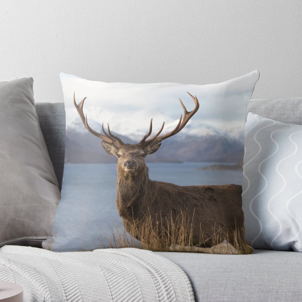 A magnificent red deer stag standing in a snow-covered landscape of the Scottish Highlands.
