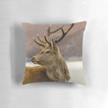 A cozy pillow featuring a stunning red deer stag in the Scottish Highlands