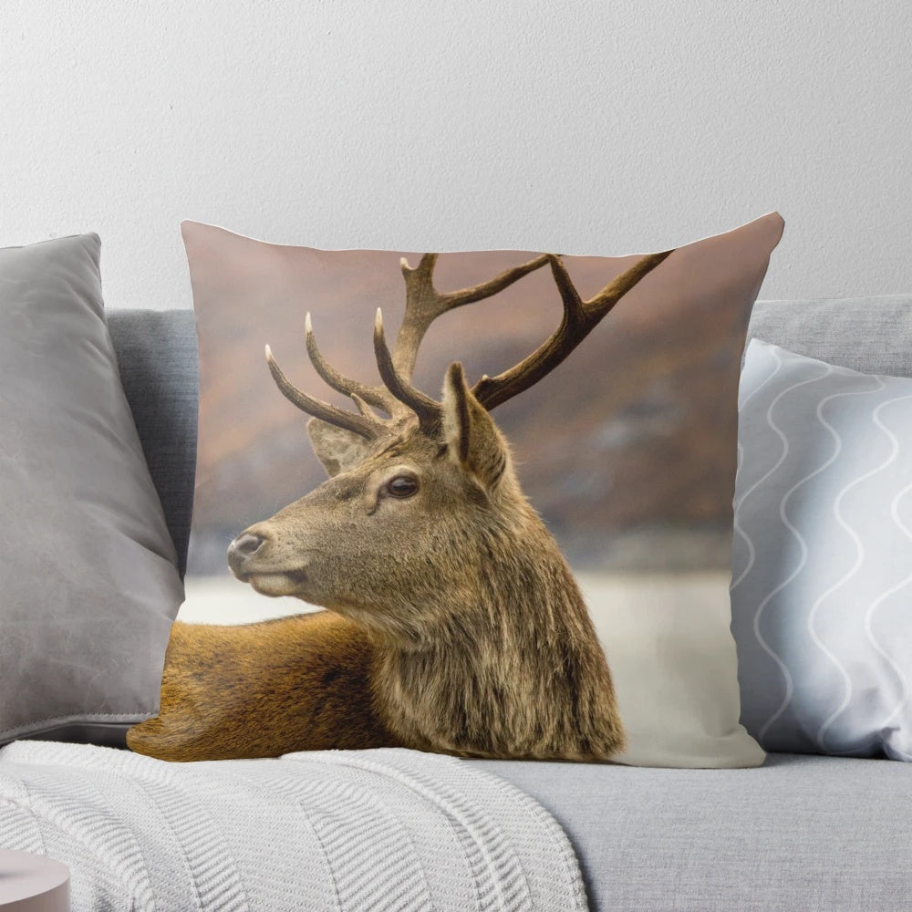 A cozy pillow featuring a stunning red deer stag in the Scottish Highlands