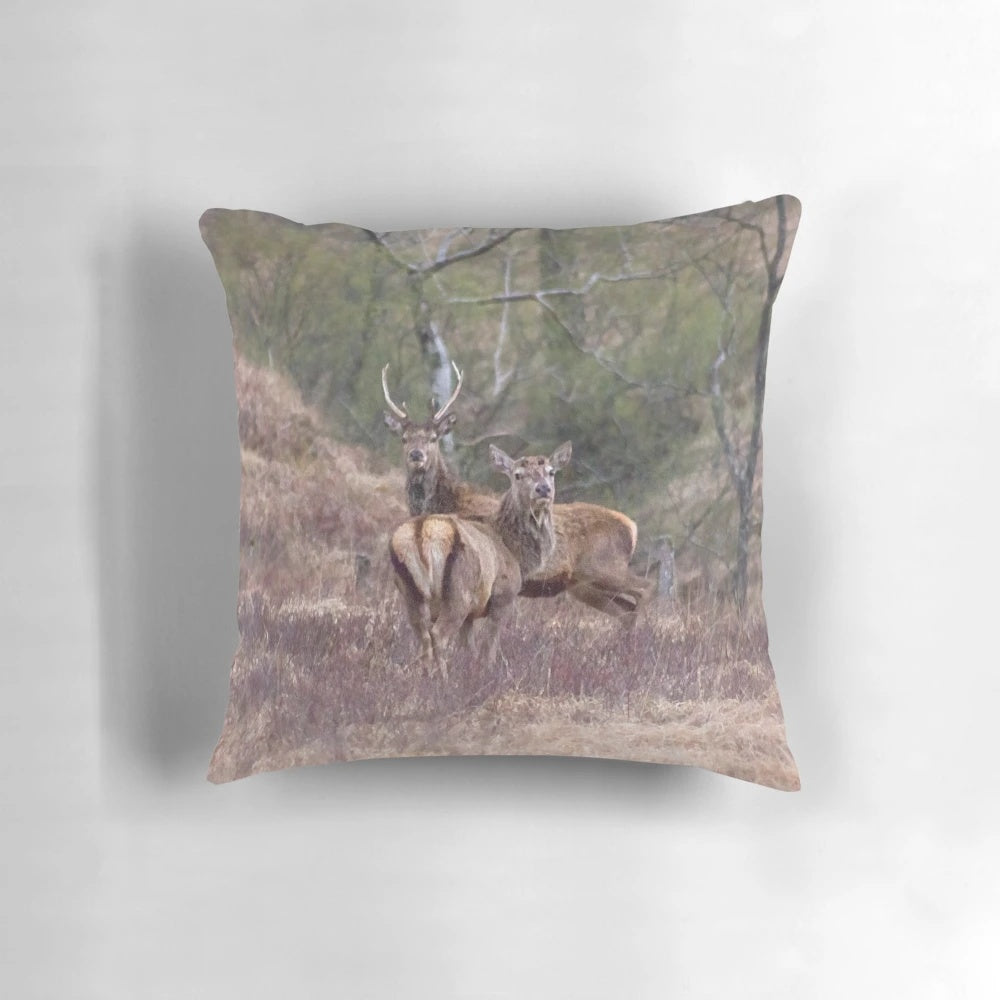A stunning black and white image of a pair of stags in the lush, forested Scottish Highlands.