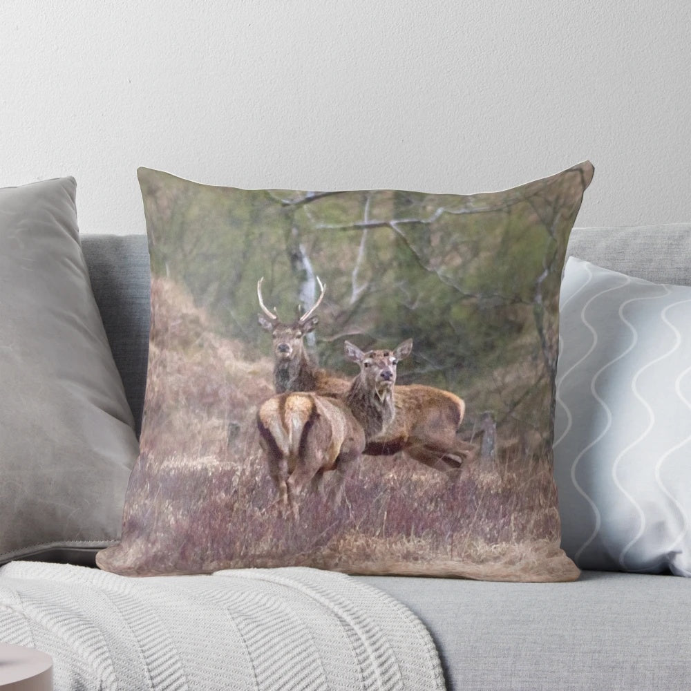 A stunning black and white image of a pair of stags in the lush, forested Scottish Highlands.
