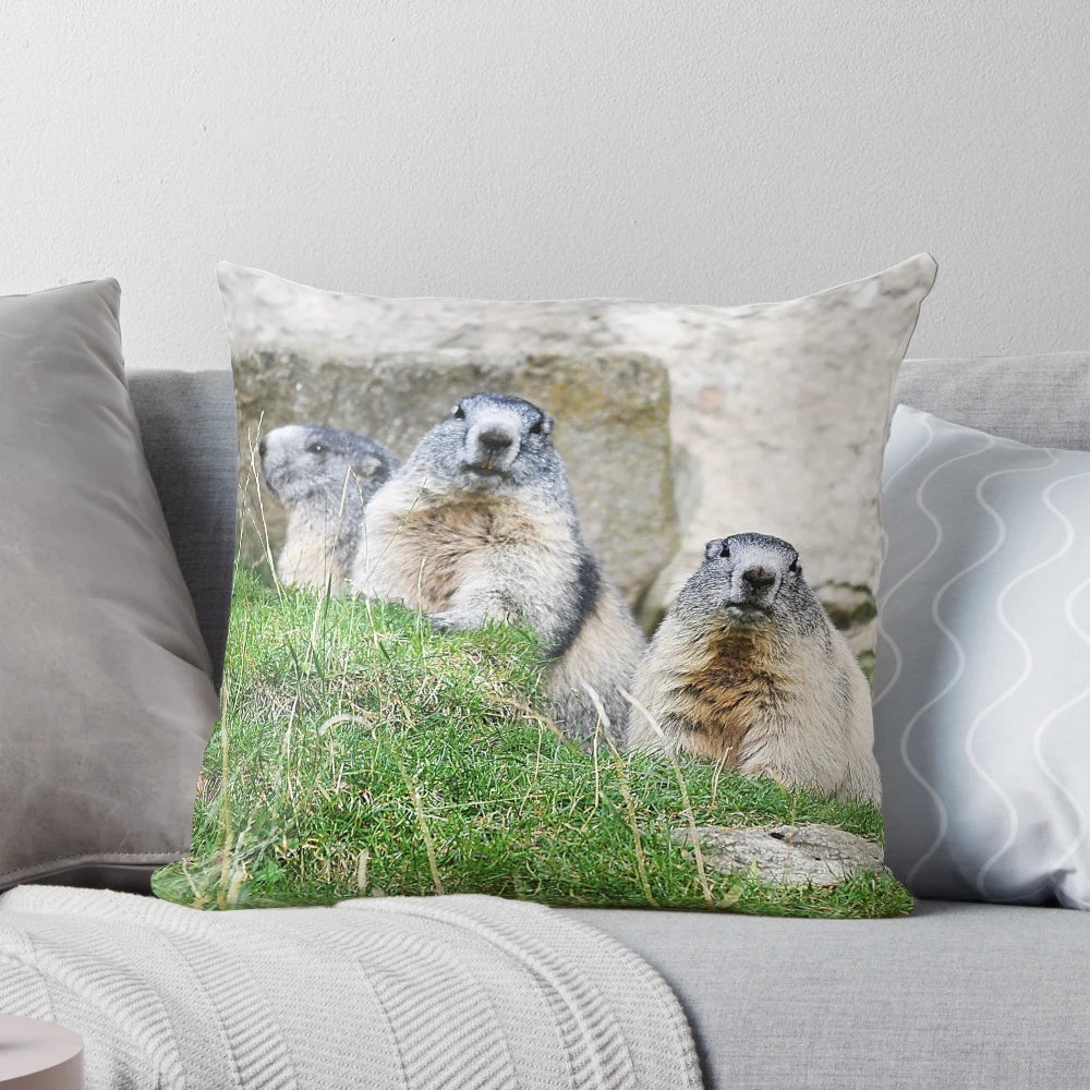 Marmots Pillow featuring a cozy design with a stunning landscape of the Alps mountains