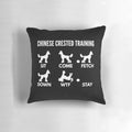 Chinese Crested Dog Performing Tricks on Decorative Pillow