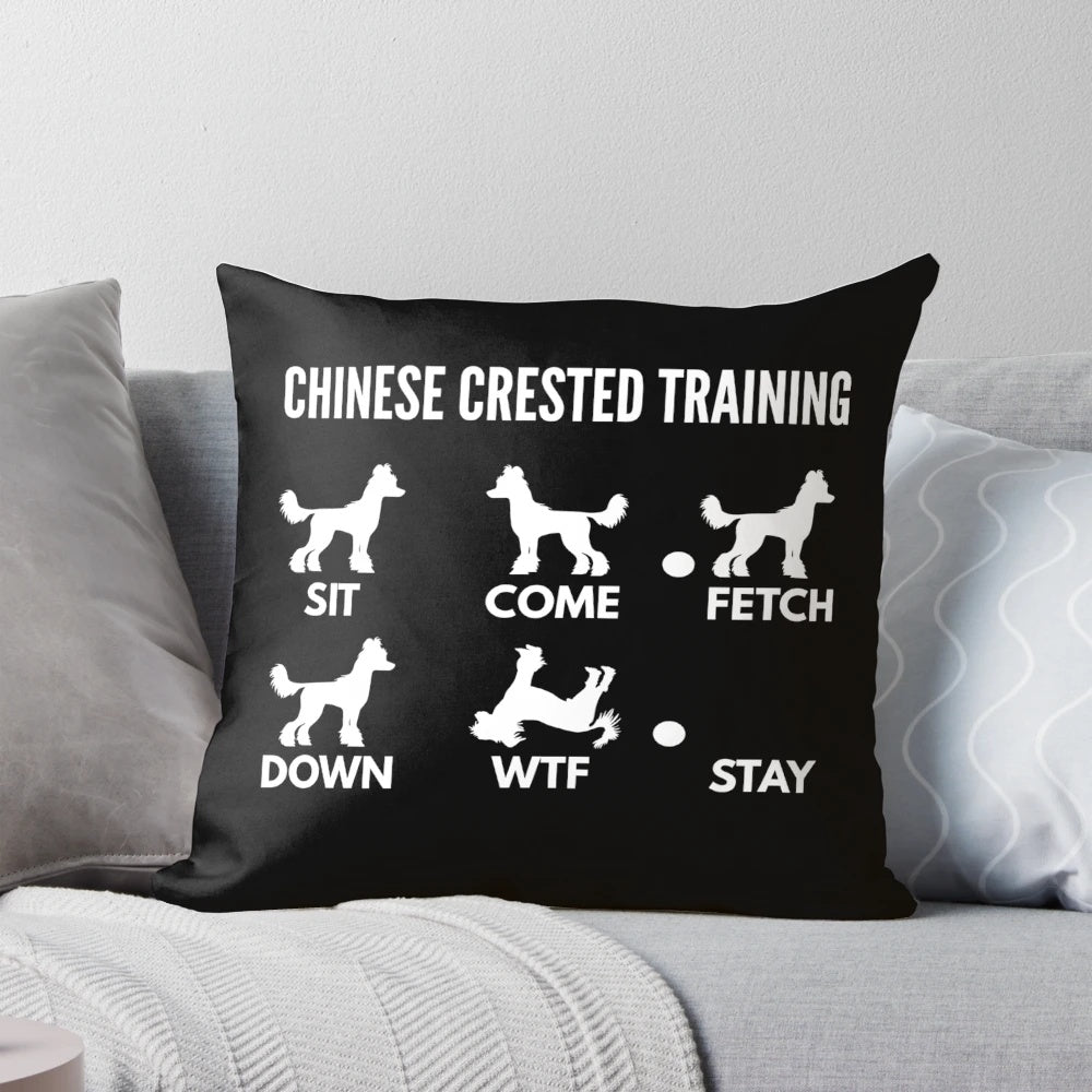 Chinese Crested Dog Performing Tricks on Decorative Pillow
