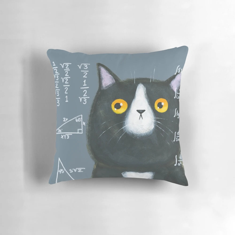 Maths Cat Pillow - Adorable Confused Kitty Math Cushion