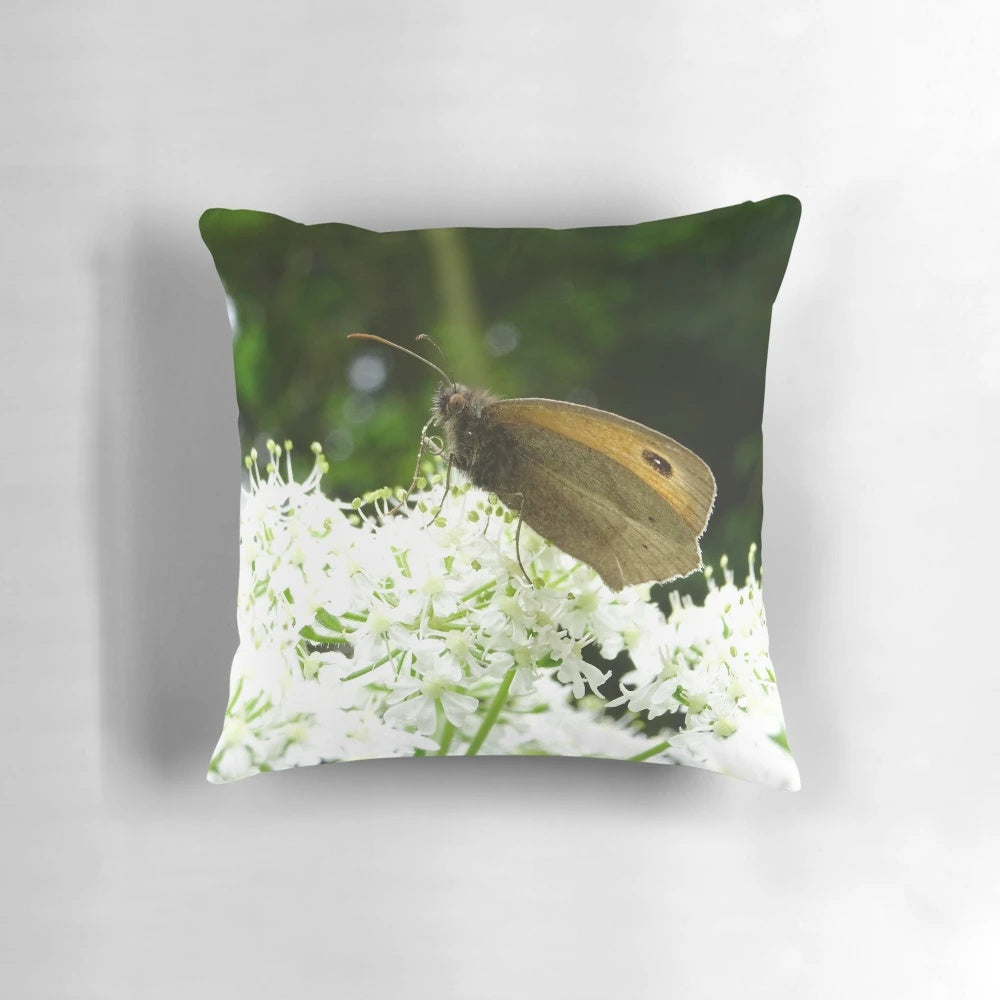 Meadow brown butterfly perched on delicate angelica flowers in a lush woodland landscape