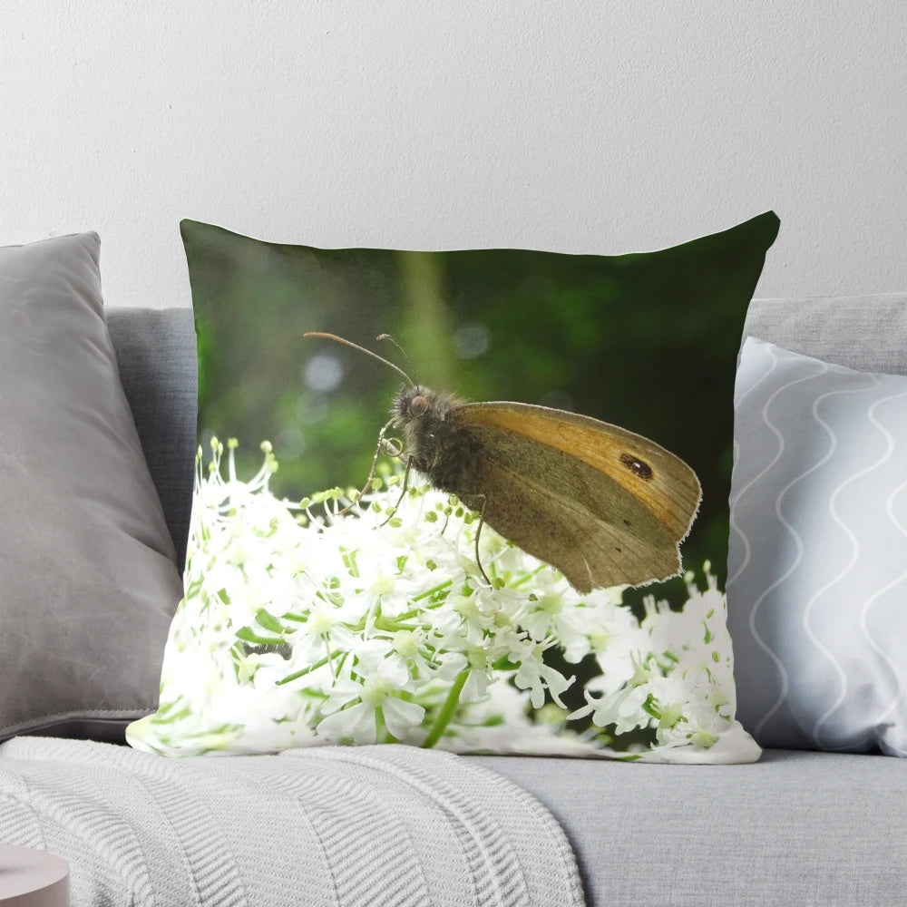 Meadow brown butterfly perched on delicate angelica flowers in a lush woodland landscape