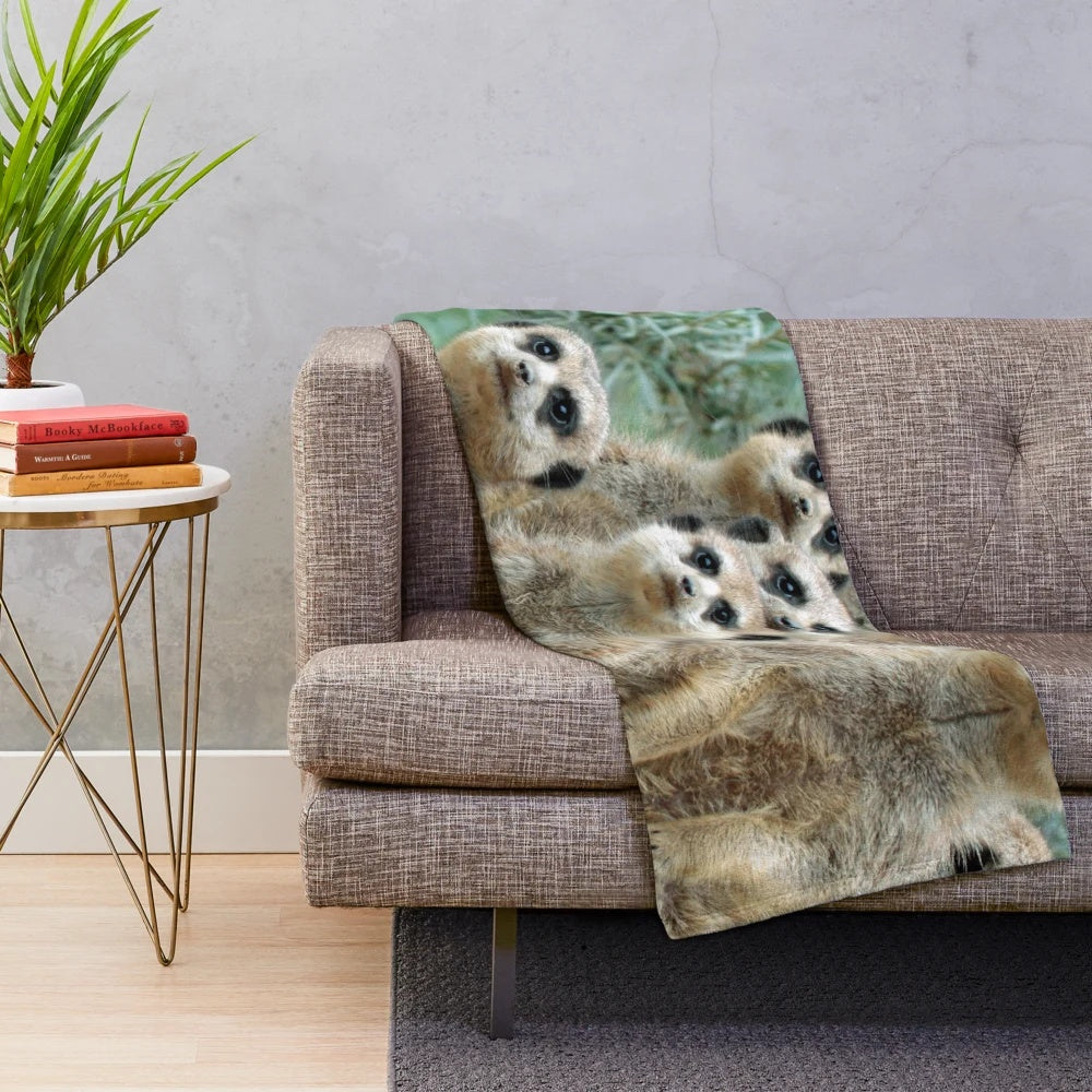 A Meerkat Family Portrait Plush Blanket