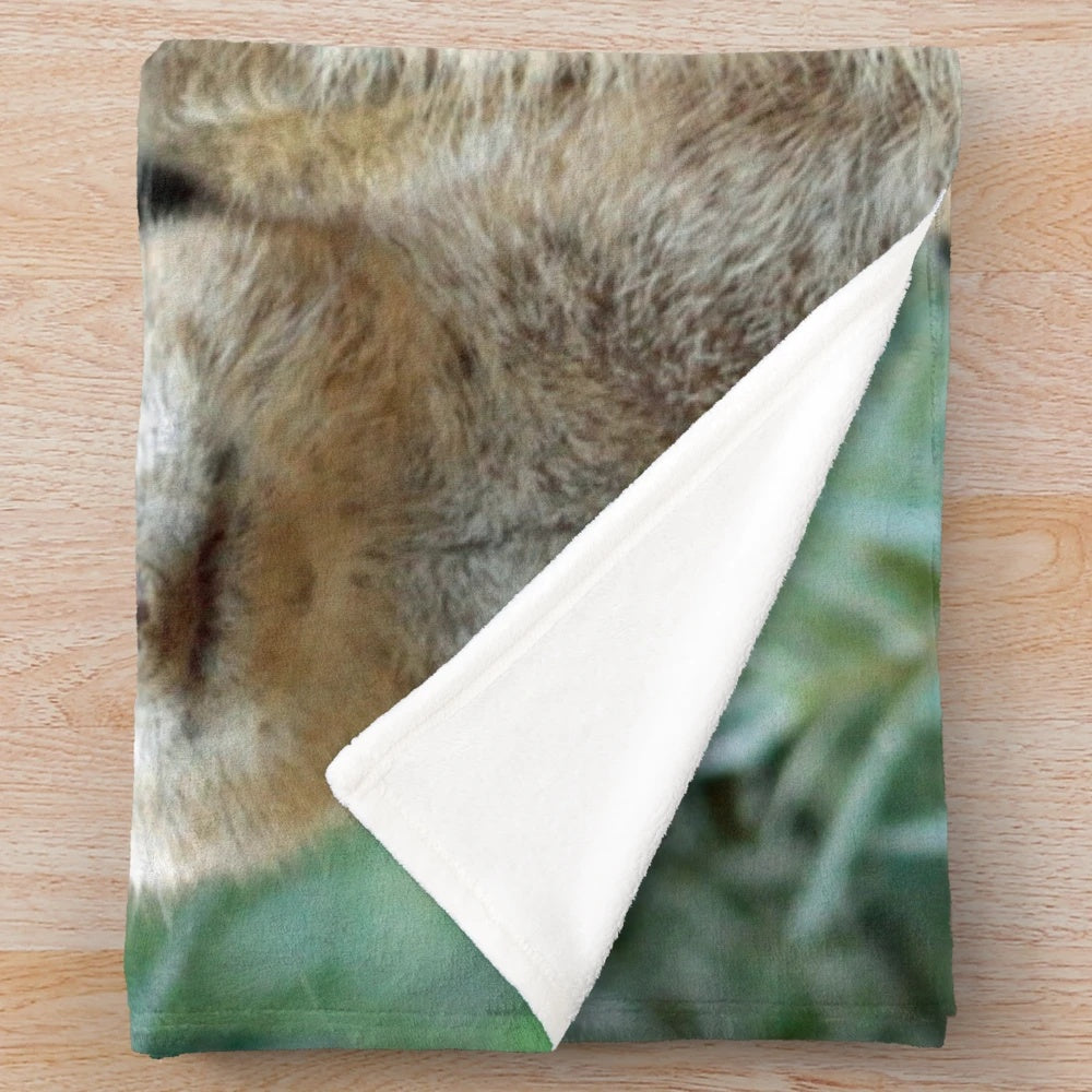 A Meerkat Family Portrait Plush Blanket