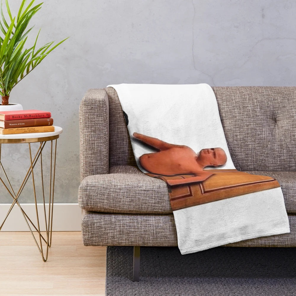 Plush blanket featuring meme imagery and internet culture references