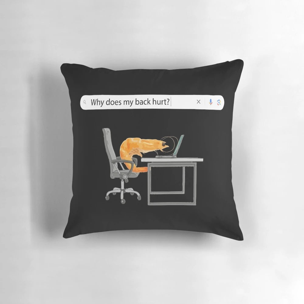 A plush, rectangular pillow featuring a humorous meme design, perfect for supporting your back while working or gaming.