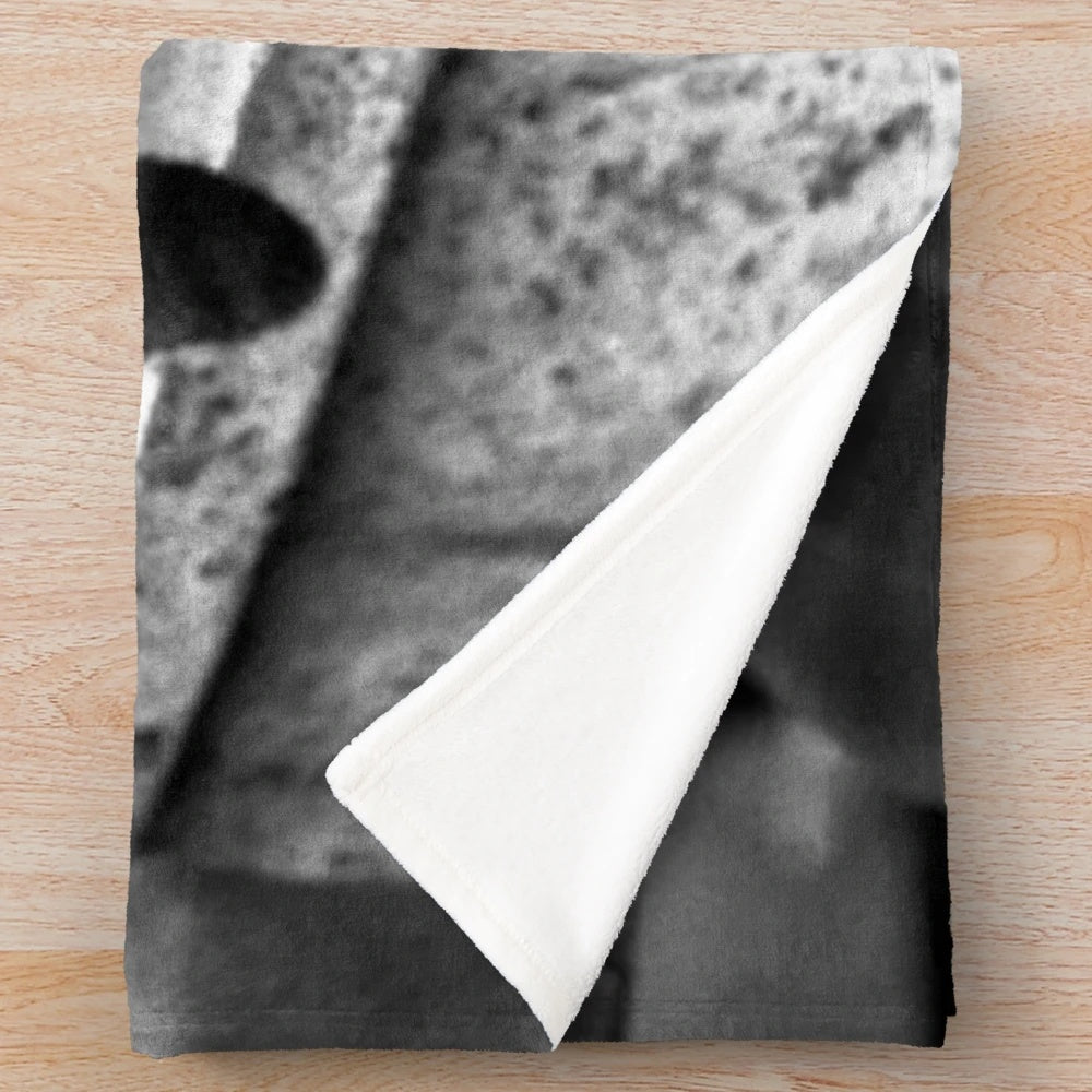 Boxer dog on windowsill in black and white photograph