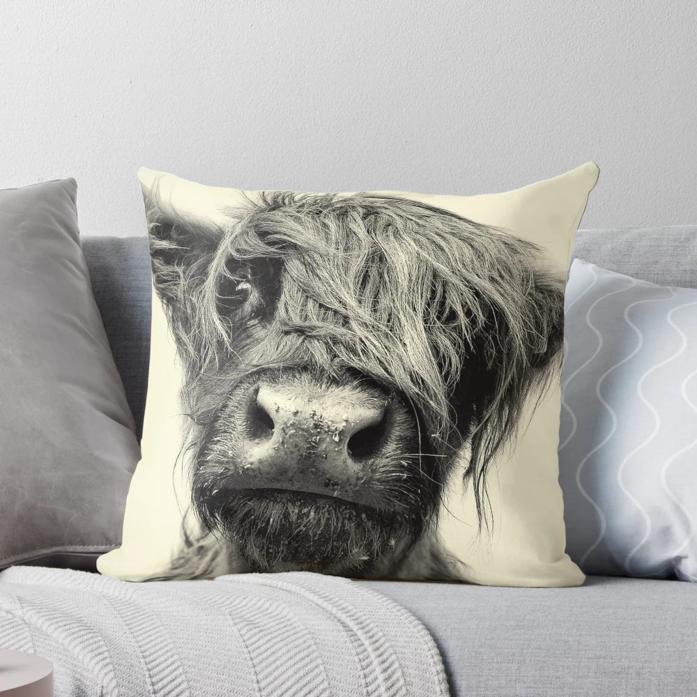 Monochrome portrait of a hairy, wooly highland cow on a decorative pillow