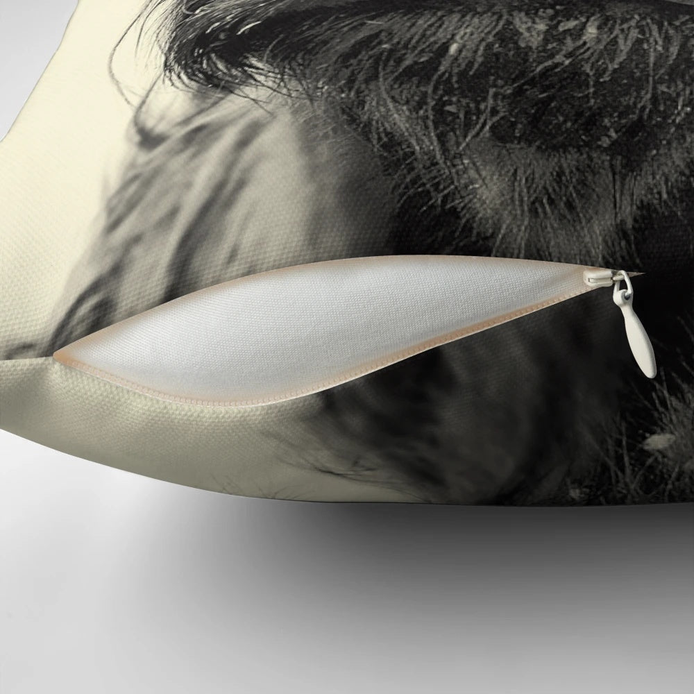 Monochrome portrait of a hairy, wooly highland cow on a decorative pillow