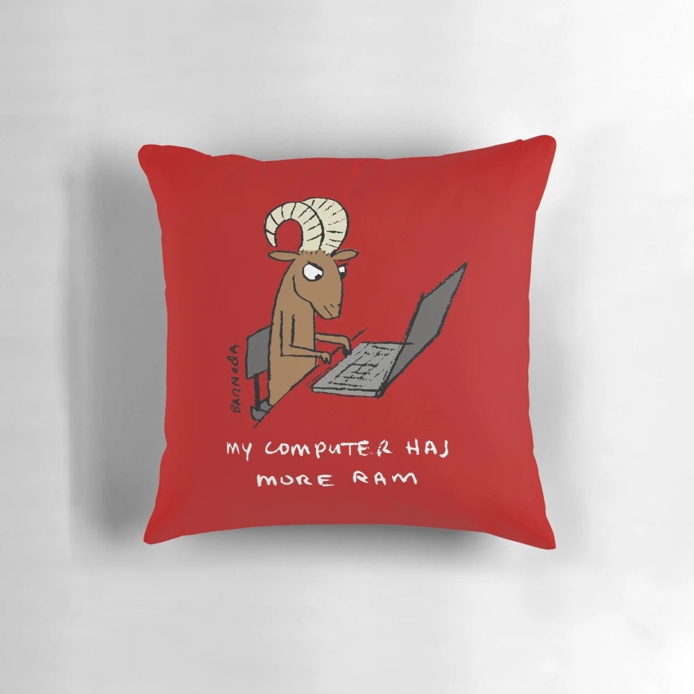 A soft, plush pillow with the text 'My computer has more RAM' printed on it, a humorous pun for tech-savvy individuals.
