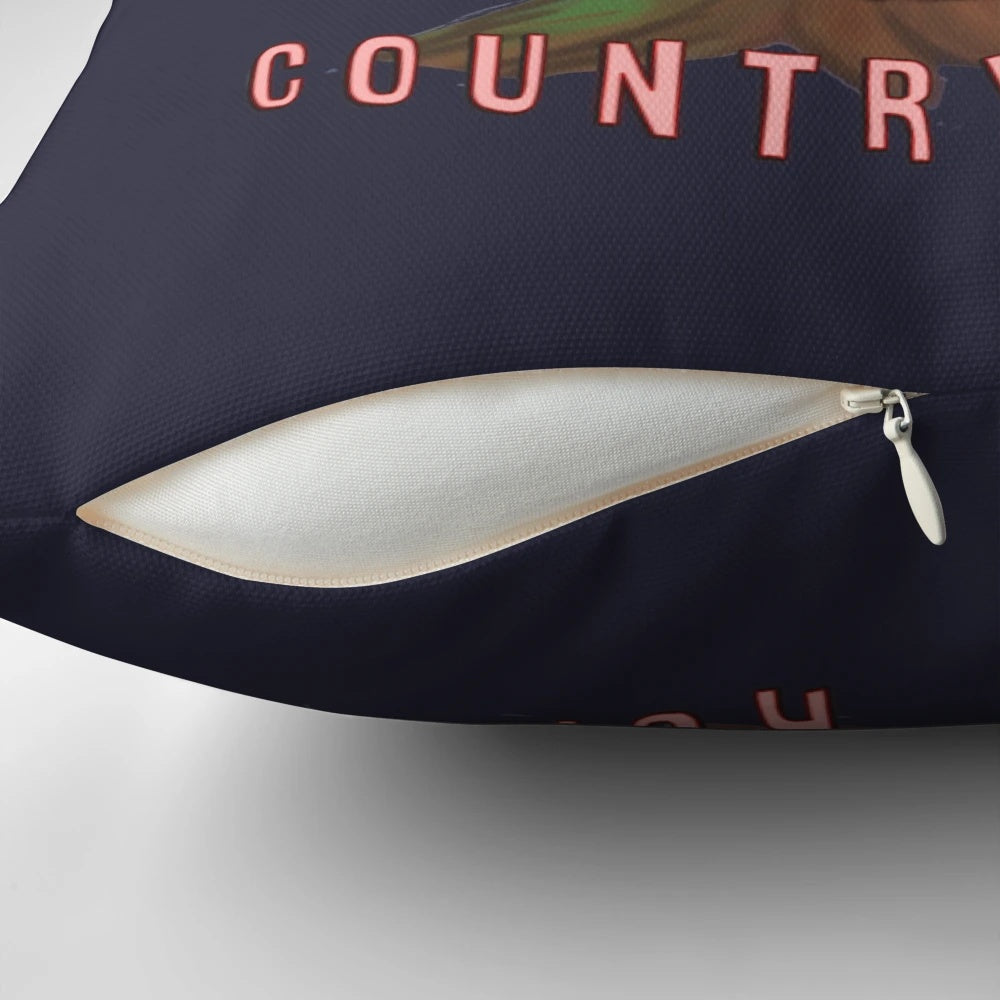 Decorative pillow featuring a cute and whimsical illustration of the Mothman cryptid from West Virginia, holding a banjo and set against a backdrop of rolling hills and a starry night sky.