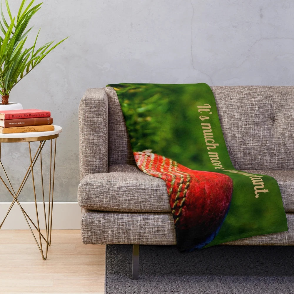 Motivational Cricket Plush Blanket with Inspirational Saying