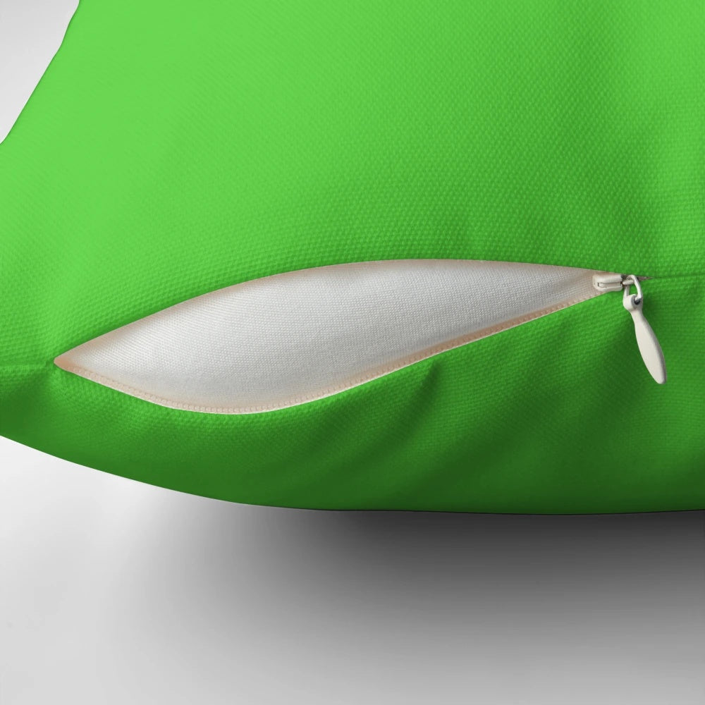 A decorative throw pillow featuring a humorous Neopets-inspired design