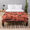 Cozy iCarly plush blanket featuring the character Gibby